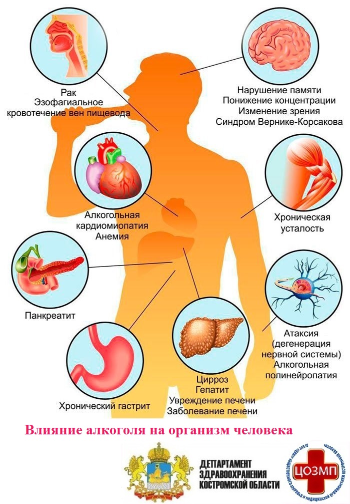 влияние алкоголя - - -.jpg влияние алкоголя - - -.jpg