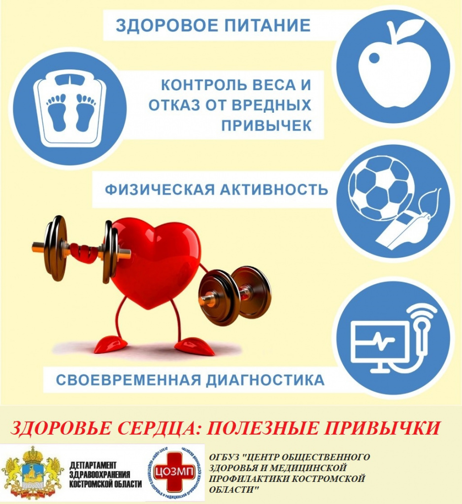 здоровое сердце.jpg здоровое сердце.jpg