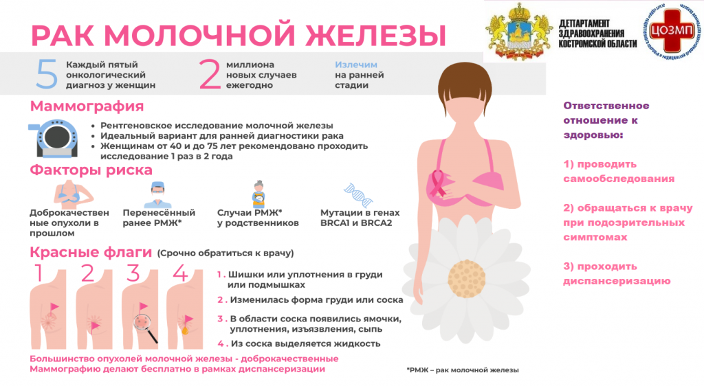 листока молочная железа.png листока молочная железа.png