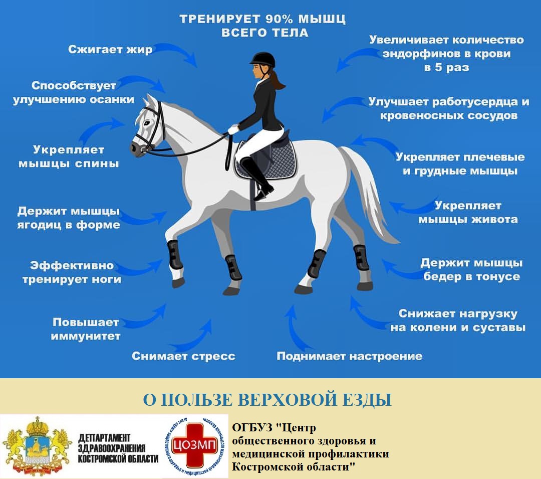 Верховая езда.jpeg Верховая езда.jpeg